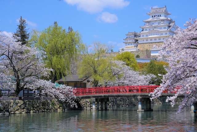 春の姫路城