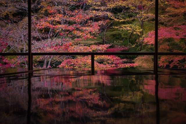 瑠璃光院の絶景