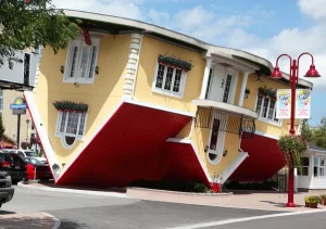 The Upside Down House